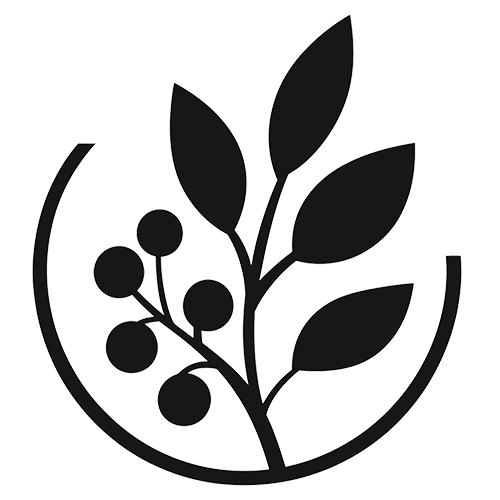 Eliberry-logo-transparent